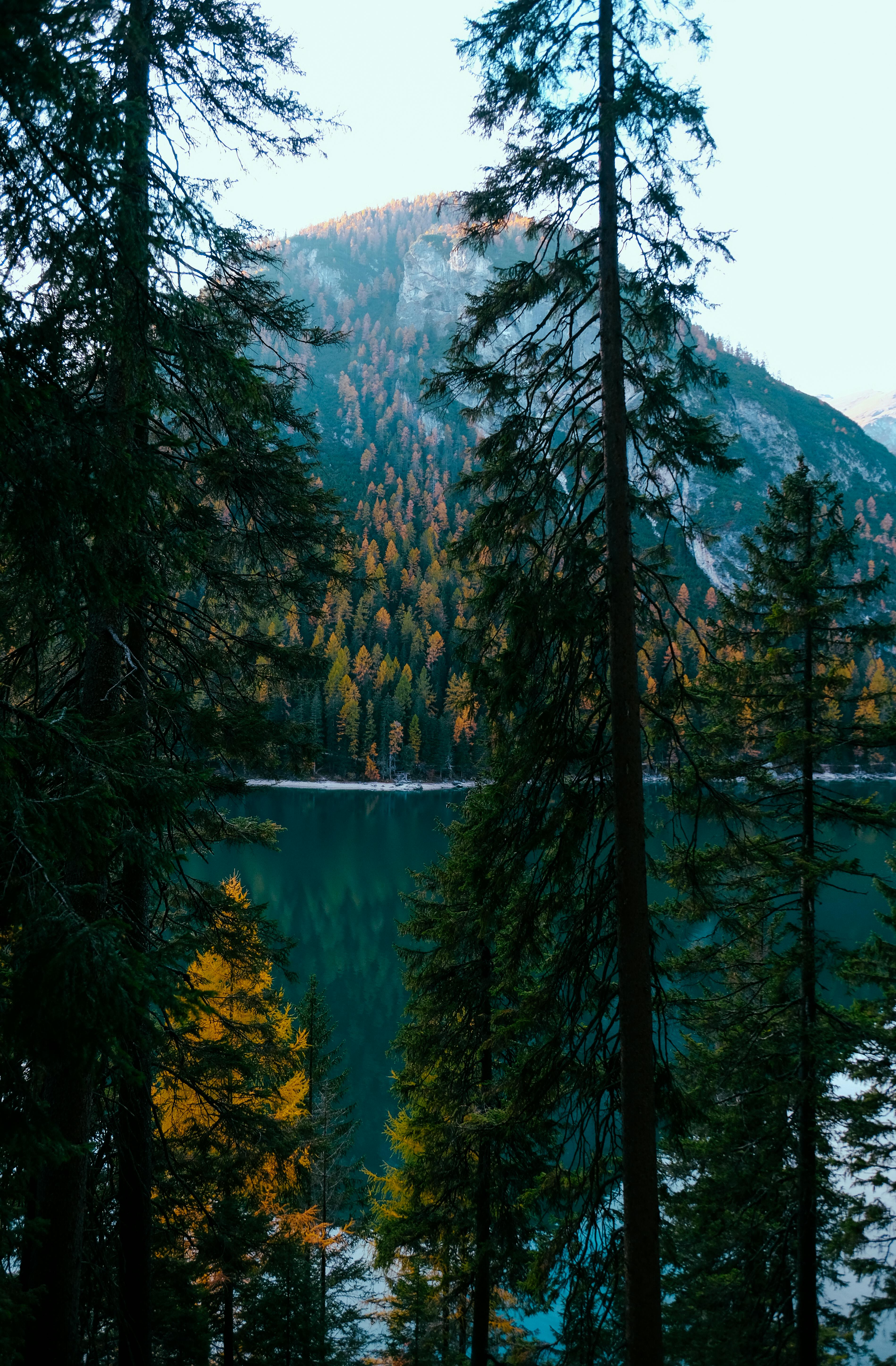 Free Stock Photo Of Aforestation Clouds Forest Free Stock Photo Of Aforestation Clouds Forest