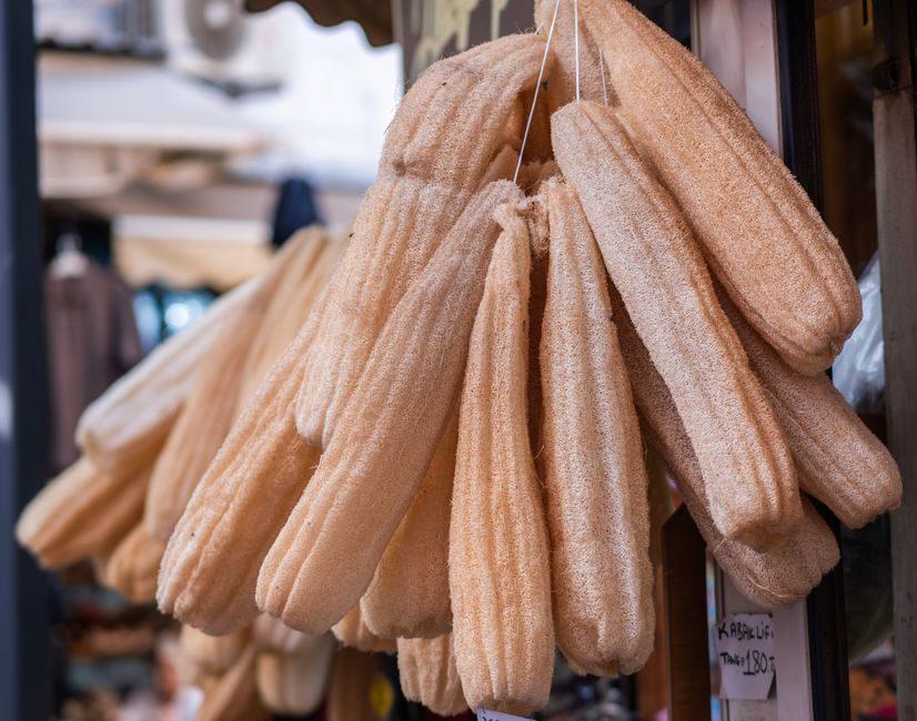 Plant-Based Sponges