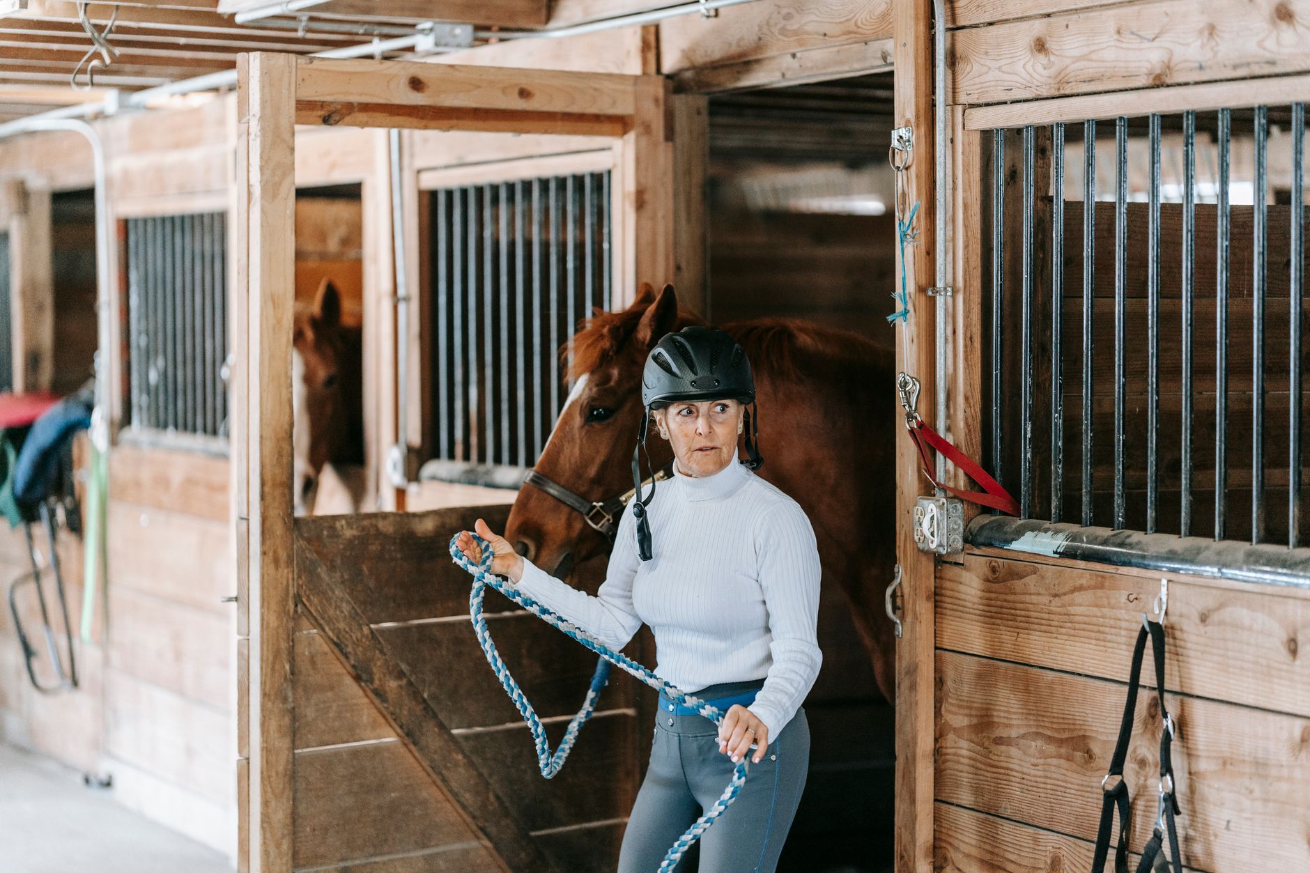 An adult woman holds a horse in a rustic wooden stable, emphasizing equestrian lifestyle.