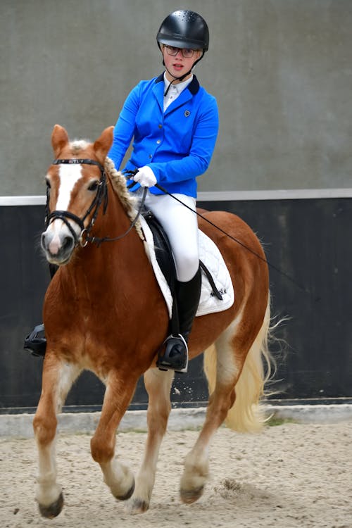 Free A Young Girl Ridding a Horse Stock Photo