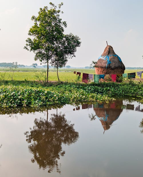 Foto stok gratis berlindung, bidang, gubuk