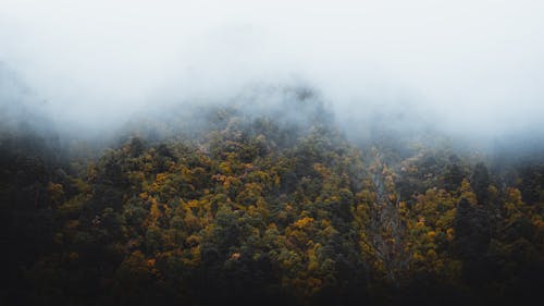 Free Clouds and Fog Covering Forested Mountains in Autumn Stock Photo
