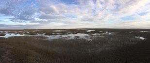 Panoramic Photo Of River