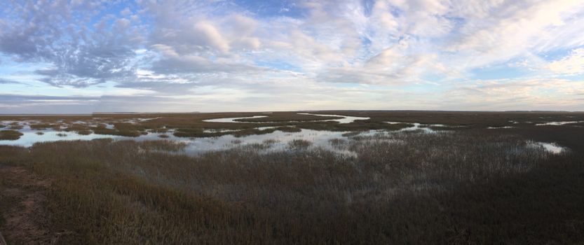 Panoramic Photo Of River
