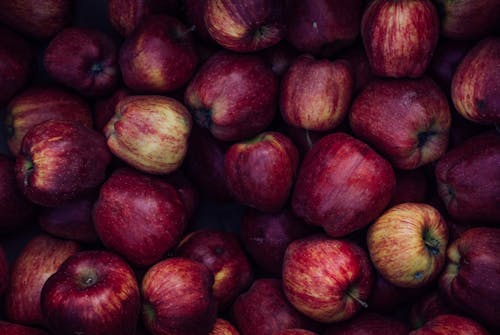 Free Abundance of Apples Stock Photo