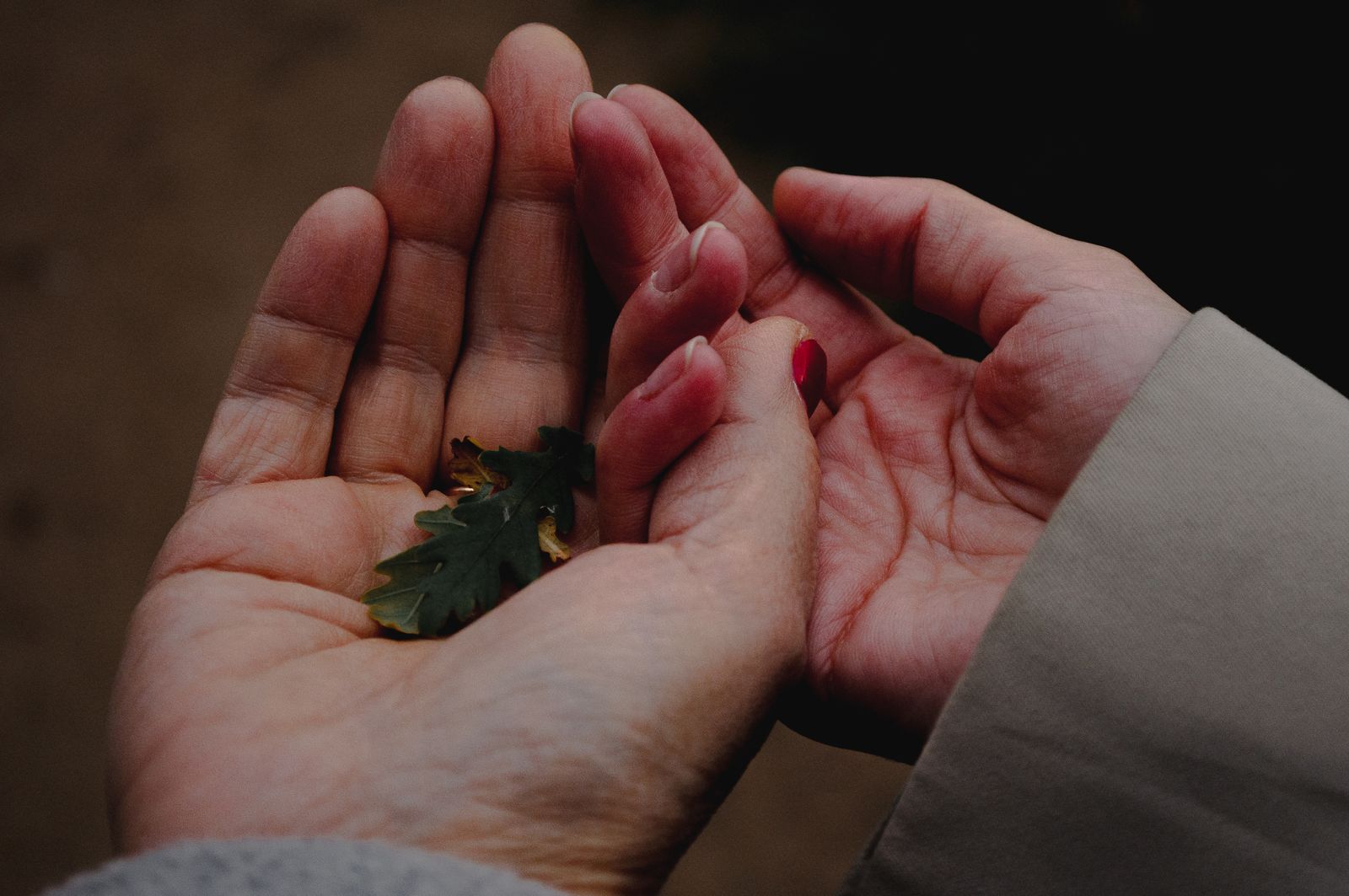 Hands gently cradling a small green leaf, symbolizing non-possessiveness and letting go