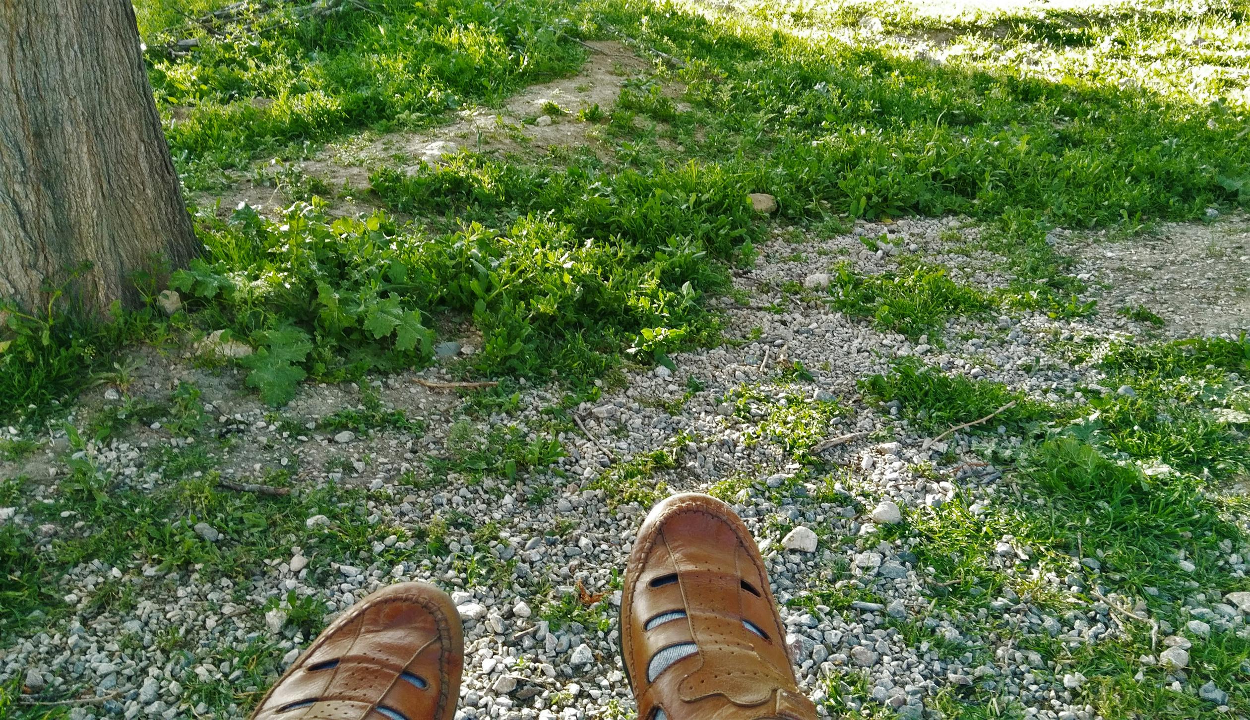 Person Wearing Fisherman Sandals · Free Stock Photo