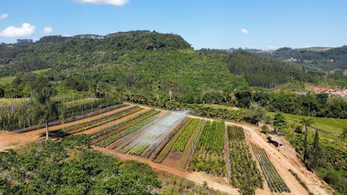 Aerial Photography of an Agricultural Land