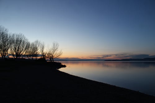 無料 ゴールデンタイムの湖の近くの木のシルエット 写真素材