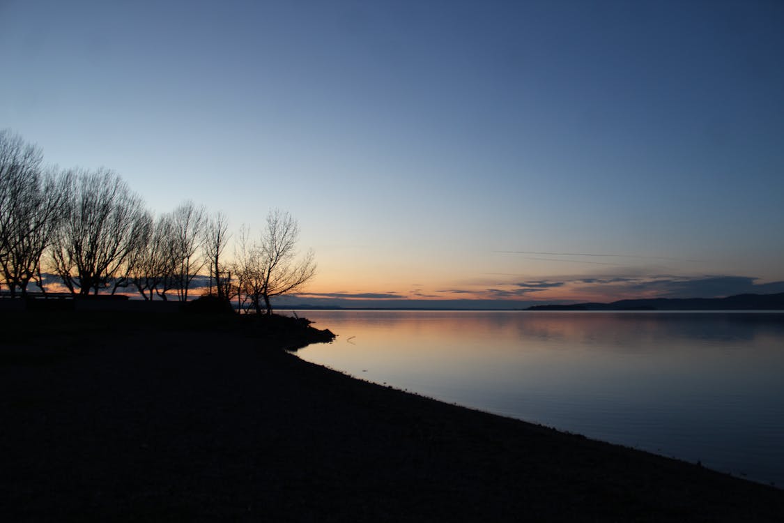 Silhouette of Trees Near Lake at Golden Time