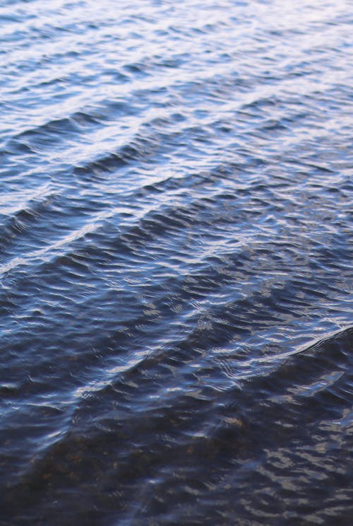 Fotos de stock gratuitas de agua, azul oscuro, dice adiós