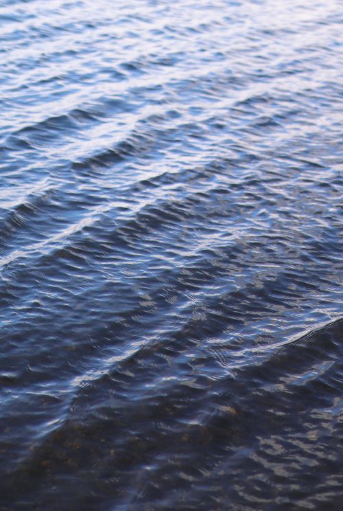 Free A serene view of gentle blue waves rippling across the ocean surface under sunlight. Stock Photo