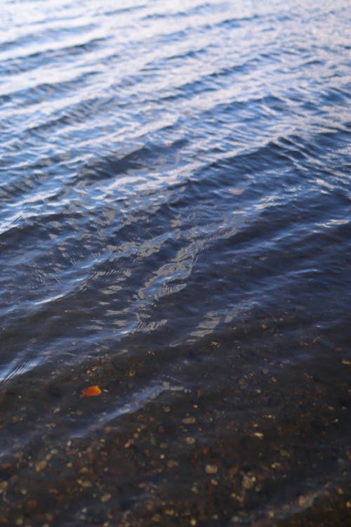 H2O, 冷靜, 垂直拍摄 的 免费素材图片