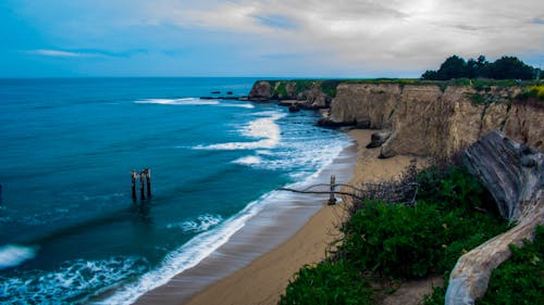 Aerial Photo of Beach