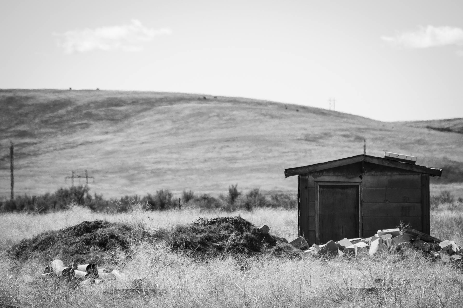 Greyscale Photography of Brown Shed Near Mountain