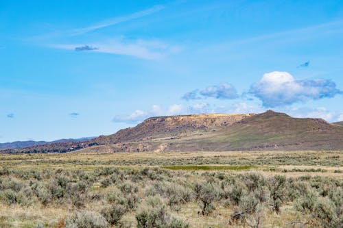 Fotografia Trawy Across Hill