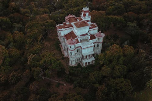 Foto stok gratis hutan, istana, Kastil