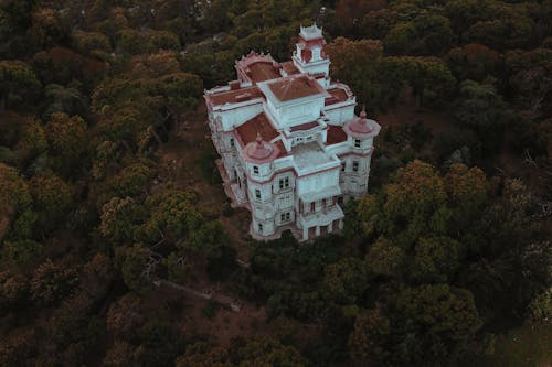 Castle in a Forest