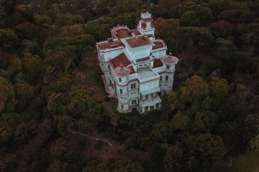 Stunning aerial view of an elegant historic castle surrounded by lush forest.