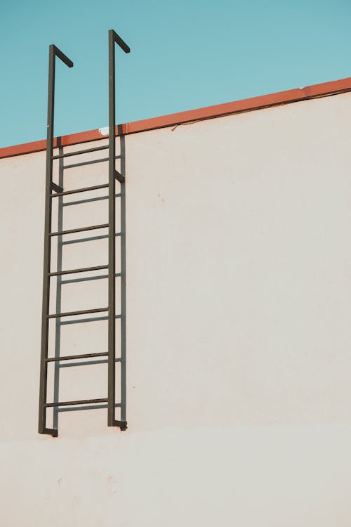 Wall Mounted Ladder to Access Rooftop