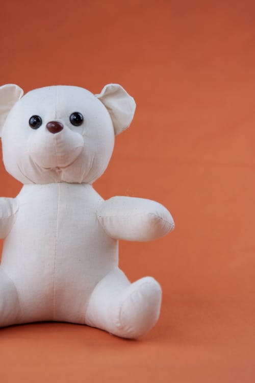 Photograph of a White Teddy Bear