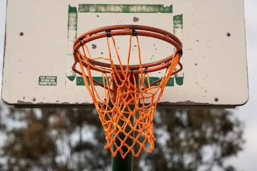 Close-up of an outdoor basketball hoop and net against blurry trees.