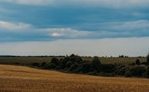 广阔的麦田和多云的天空构成了一幅宁静的景观，捕捉到了大自然的美丽