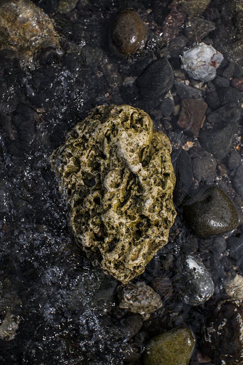 Close-up Photo of a Rough Rock