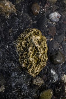 Close-up of a textured stone surrounded by various pebbles in a stream.