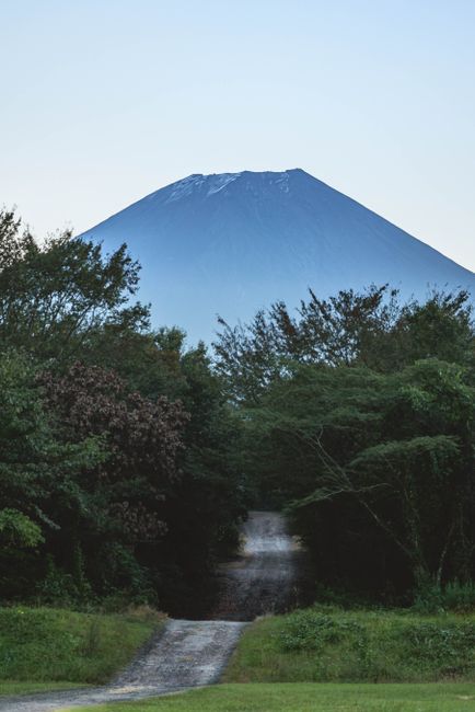 Scenic view of Mount Fuji with a pathway surrounded by lush greenery, perfect for nature exploration.
