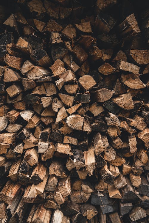 免费 切碎的树林, 升火的木柴, 圓木條 的 免费素材图片 素材图片