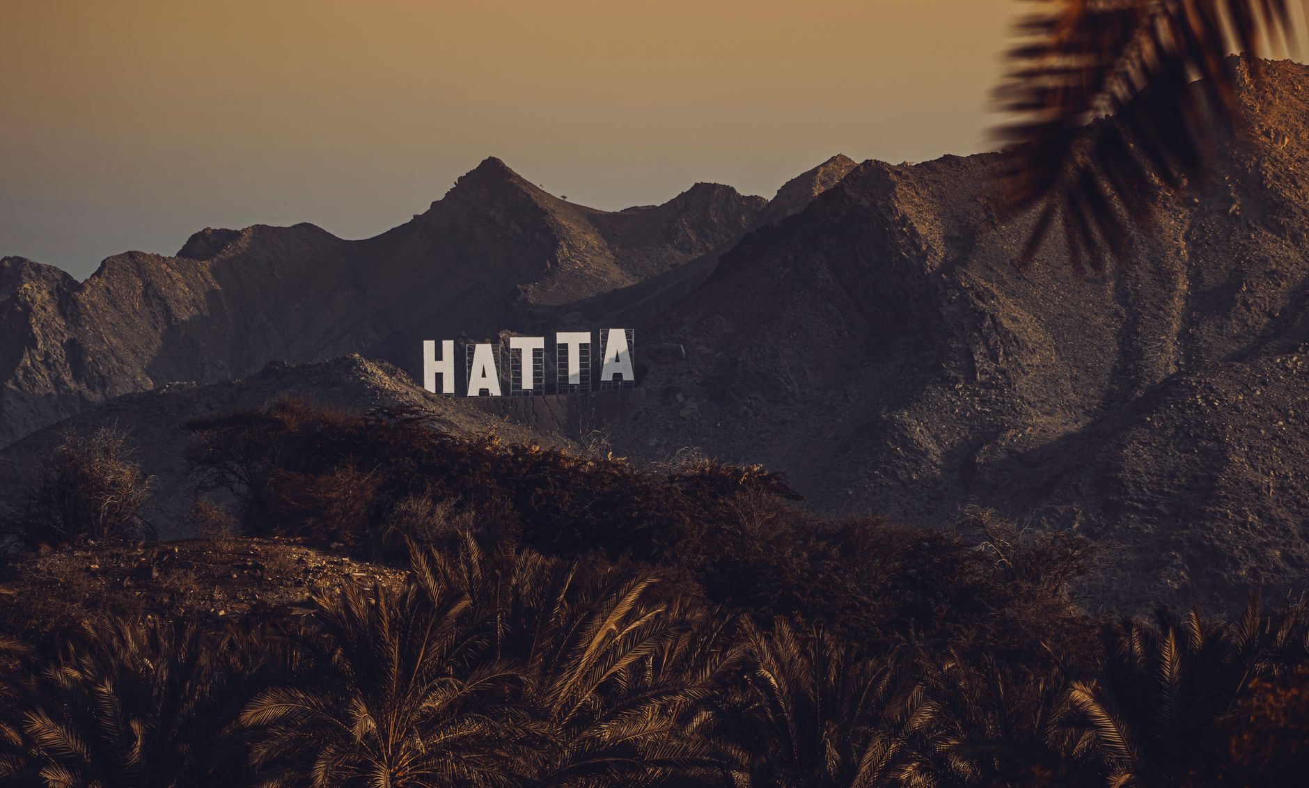zatca comparison: a complete UAE guide
