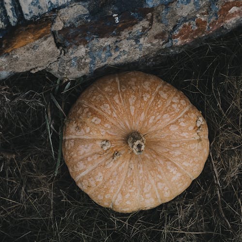 An Orange Pumpkin on the Grass