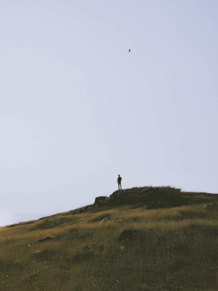 Silhouette Of Unrecognizable Person Standing On Top Of Green Hill