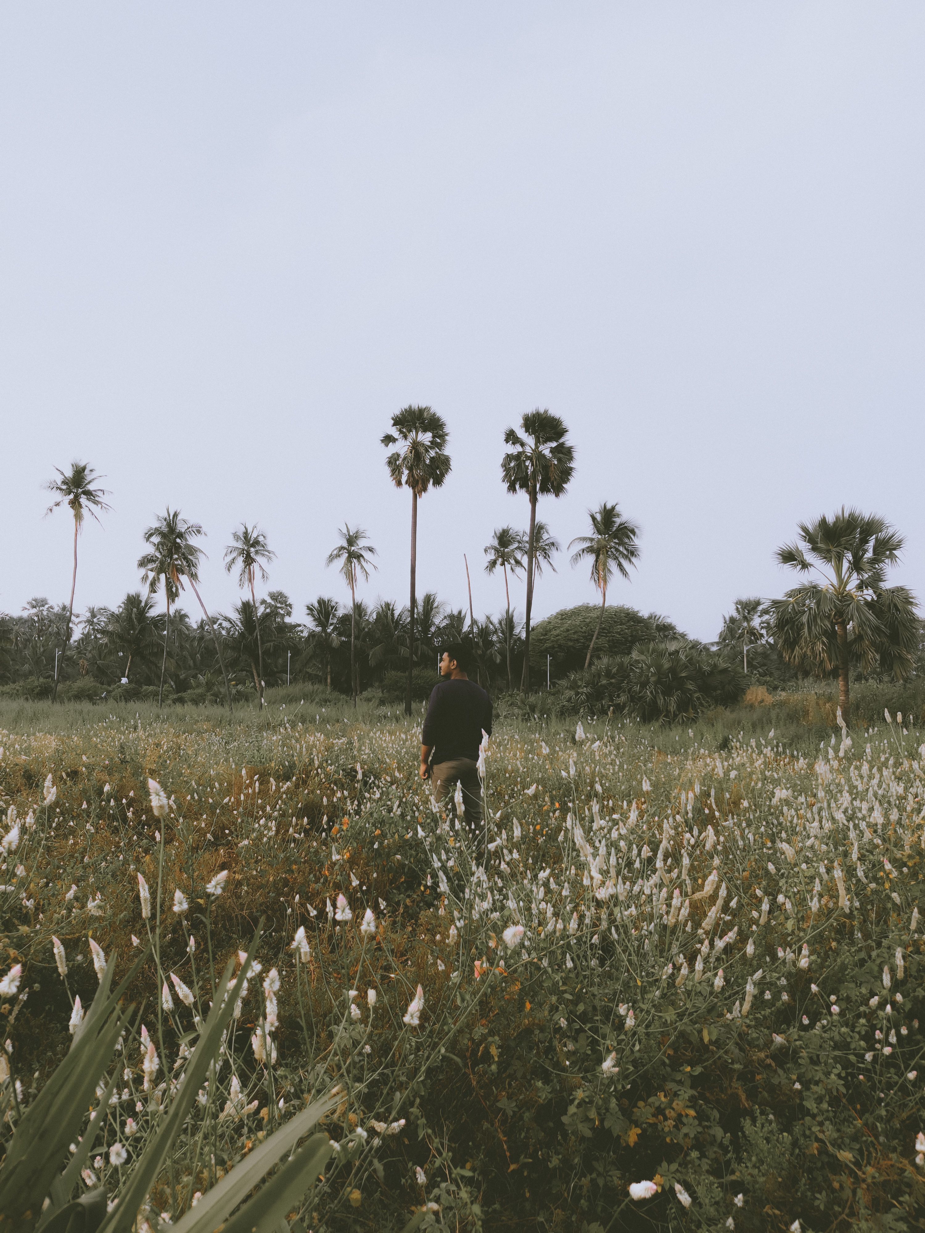 Man Standing on Grassland · Free Stock Photo