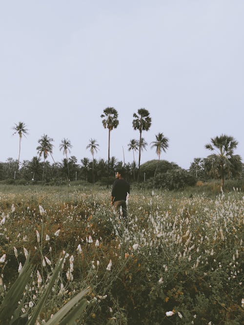 Man Standing on Grassland