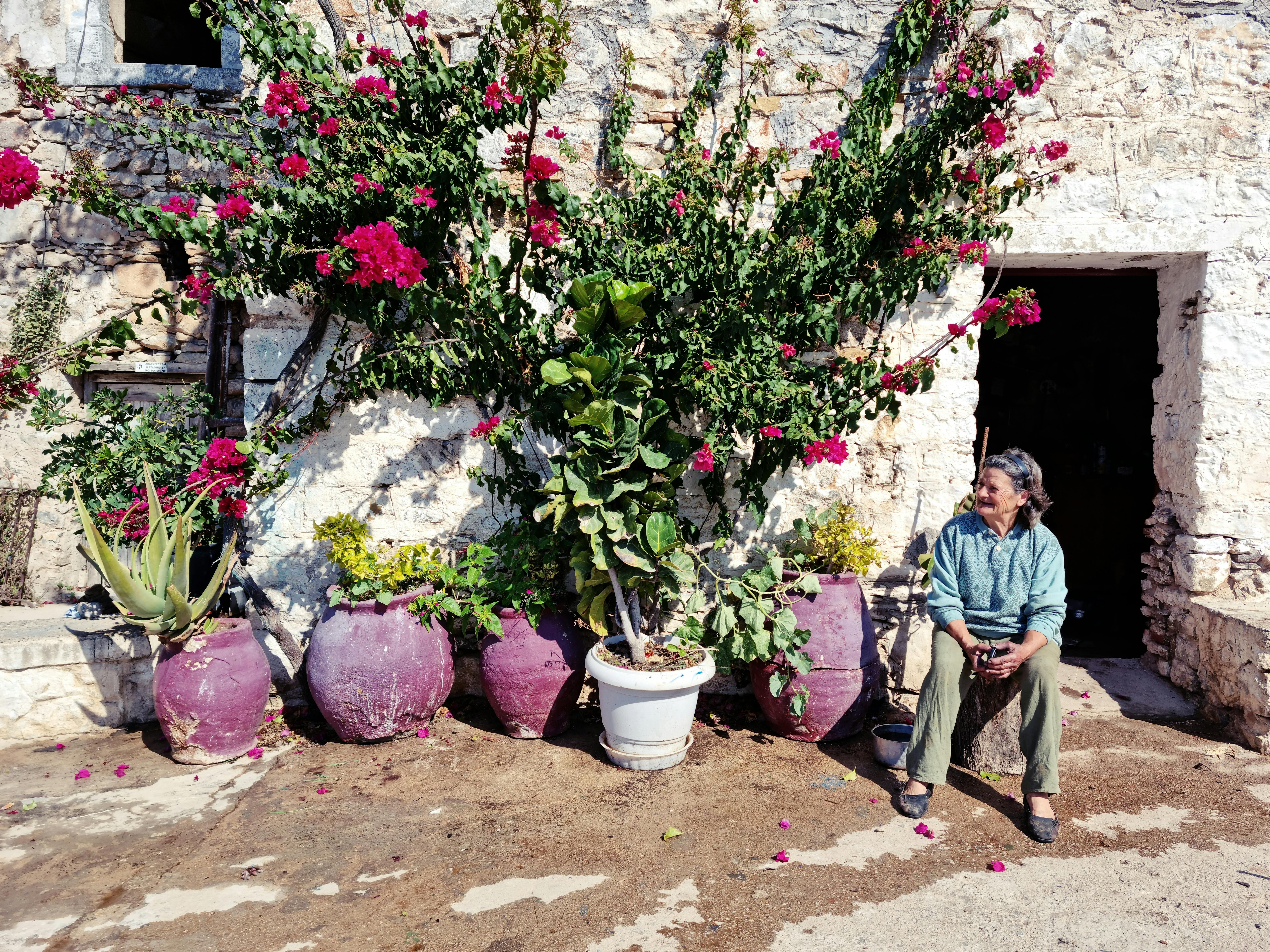 Senior woman enjoys a sunny day surrounded by vibrant flowers and ancient stone walls in Greece.