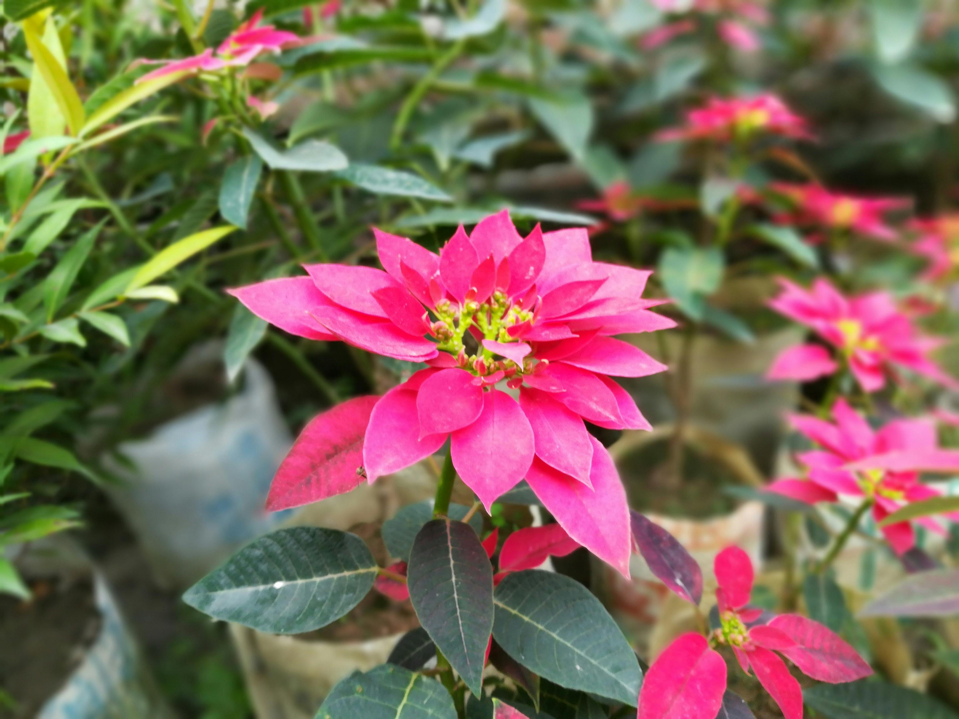 一个人在山顶进行极限熨烫