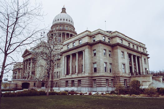 Low angle view of a historic capitol building with a dome, columns, and surrounding trees.