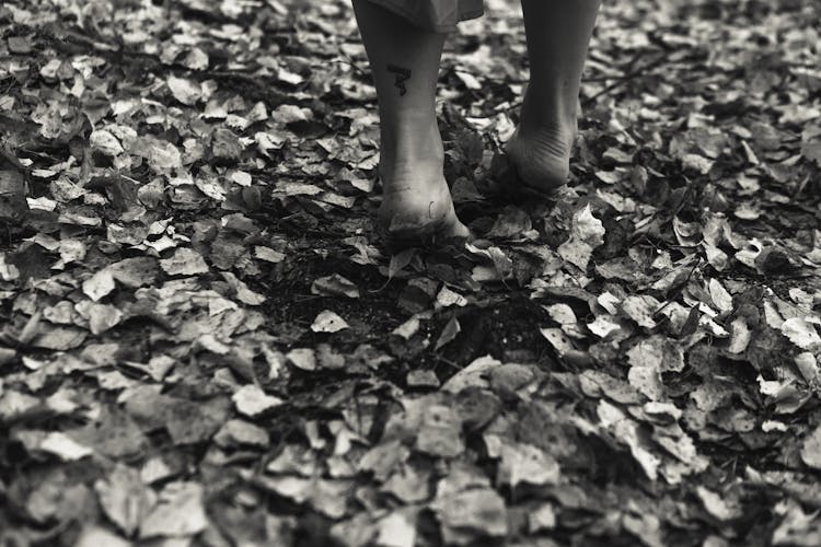 A Barefoot Person Walking On Dried Leaves