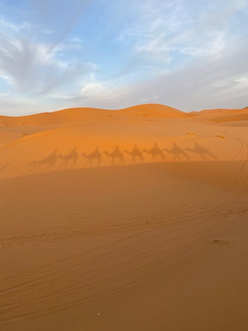 Shadow of People Riding Camels in the Desert