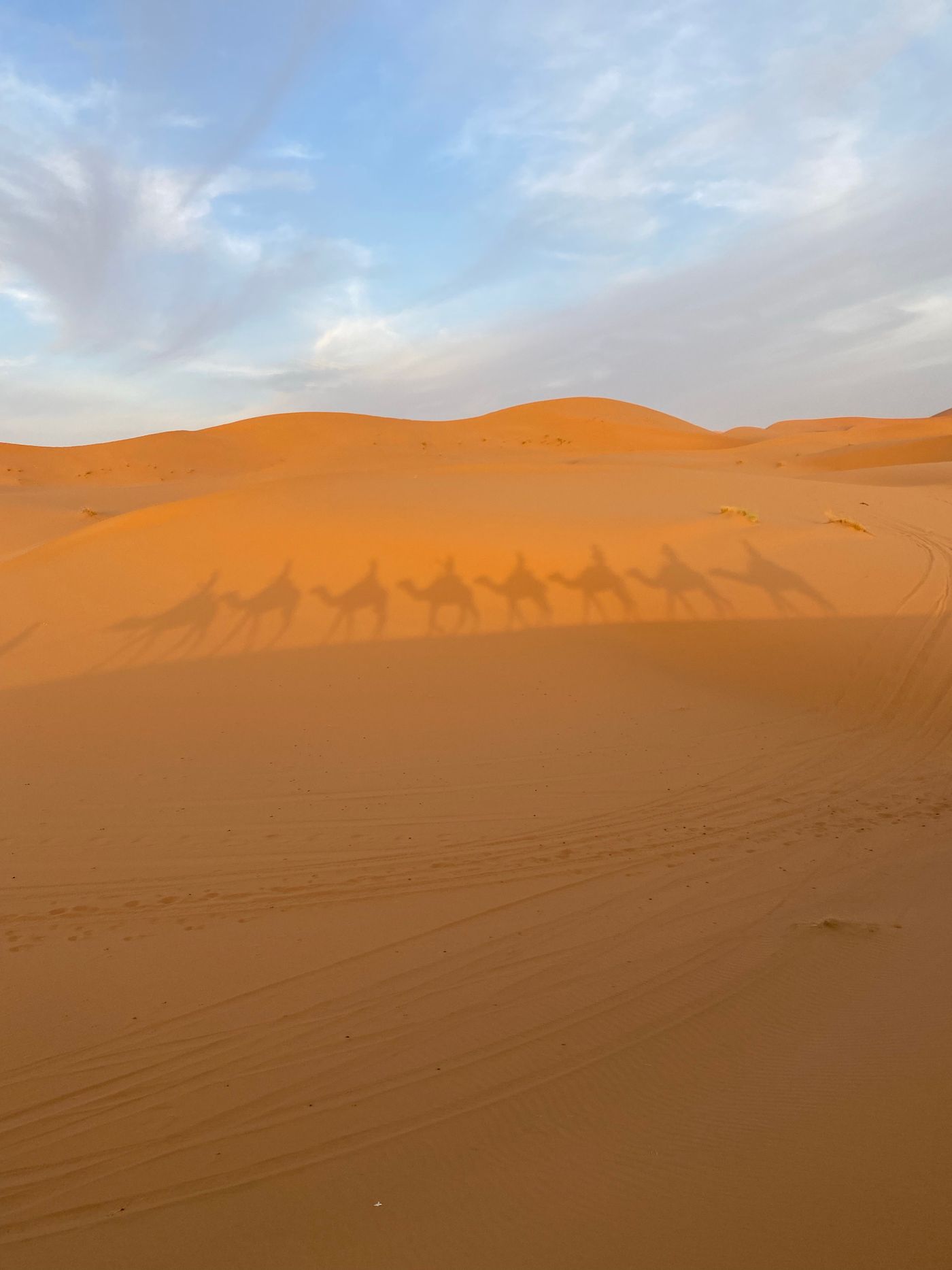 Shadows of a camel caravan crossing the golden dunes of Merzouga, Morocco