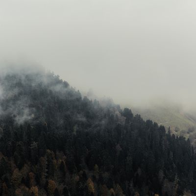 Foggy forest on a mountain slope — photo by Ilya Lisauskas on Pexels