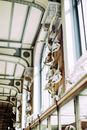 Animal Skulls in Museum