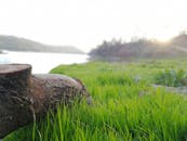 黎明时分，湖畔宁静，绿草如茵，绿树成荫