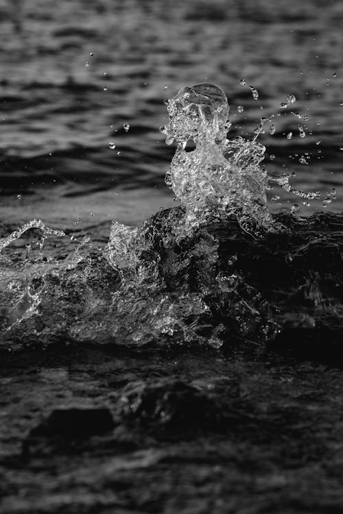 Water Splash in Black and White Photography