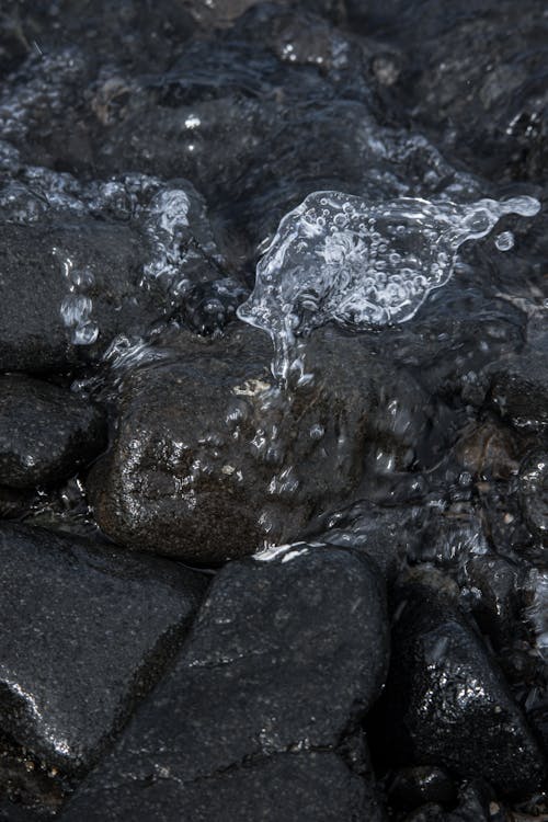 Close-up Photo of Wet Pebbles