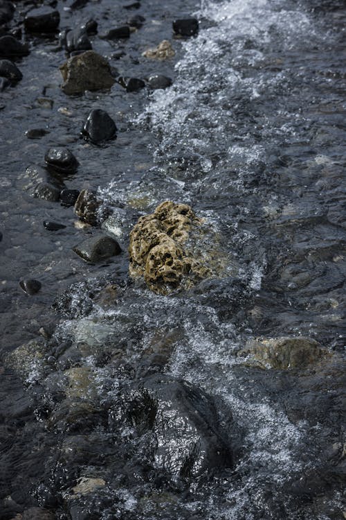 Foto profissional grátis de água, corrente, fluido