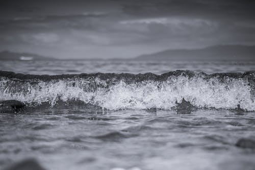 Foto profissional grátis de corpo d'água, escala de cinza, monocromático