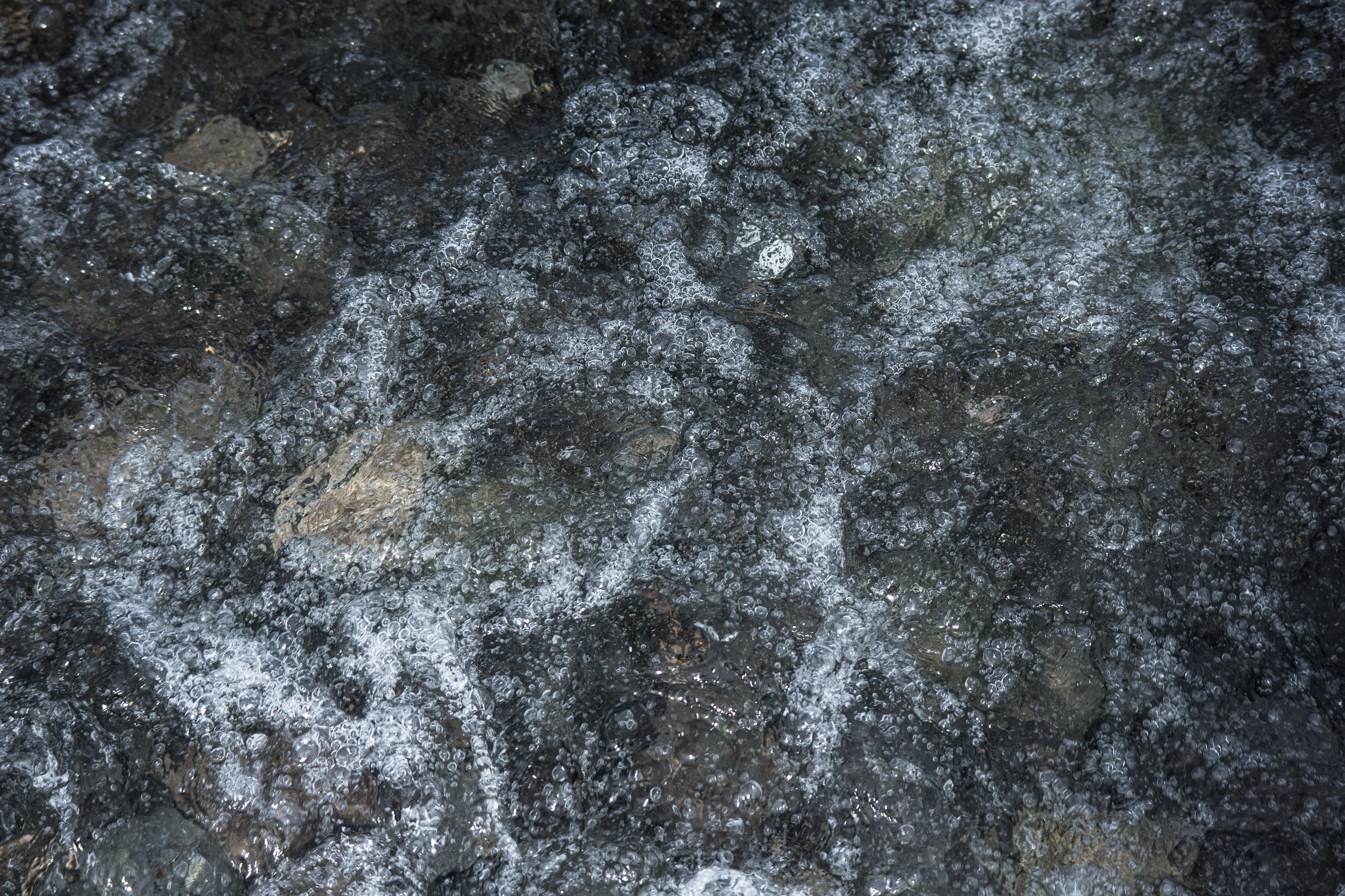 Air Bubbles on Water Surface · Free Stock Photo